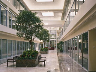 Interior Atrium